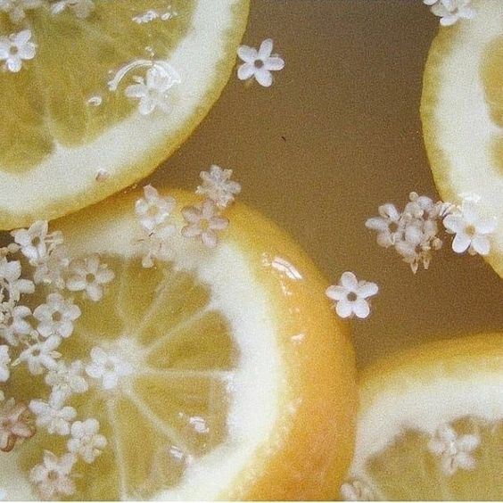 Currently Sniffing: Citrus