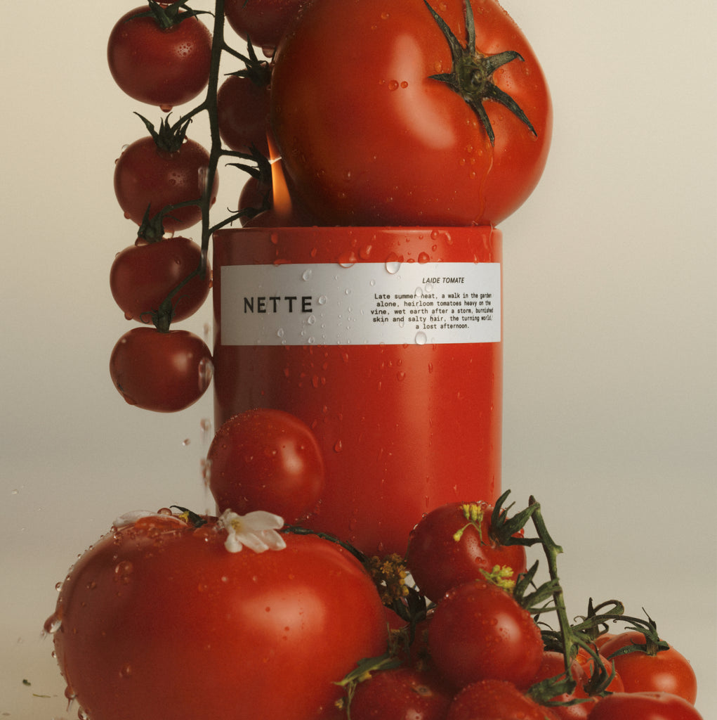 (Re)Introducing: Laide Tomate